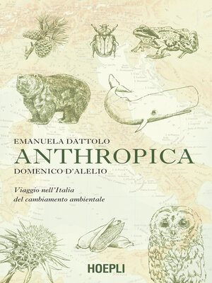 cover image of Anthropica